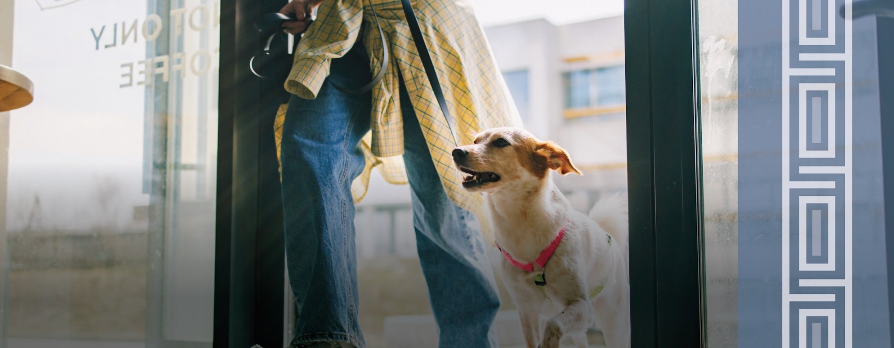 a human and dog walking through a doorway